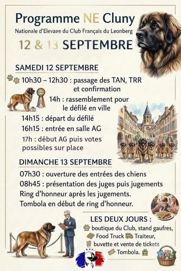 Média additionnel 1