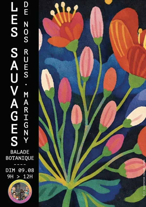 LES SAUVAGES DE NOS RUES