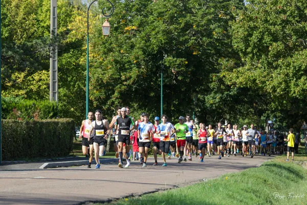Run'in Vitteaux