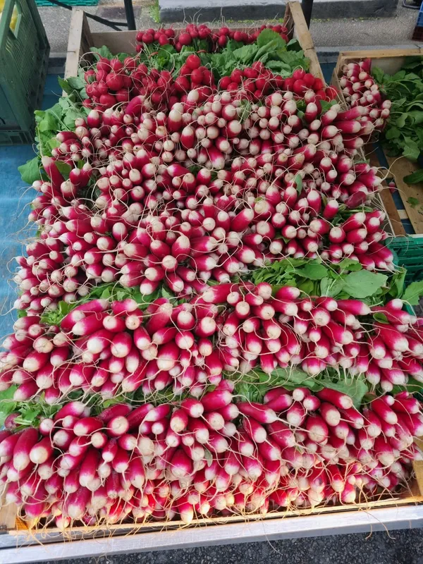 Marché de Cluny