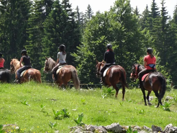 Randonnée à cheval : niveau débutant