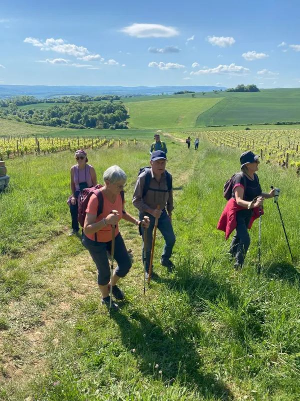 Balade des Vins de Vézelay 2026