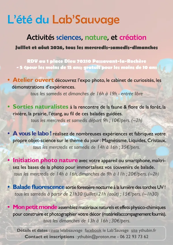 L'été du Lab'Sauvage