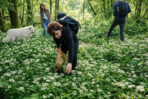 Sortie nature : plantes de chasseurs-cueilleurs