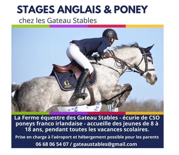 Stages d'équitation en Anglais weekend ou à la semaine
