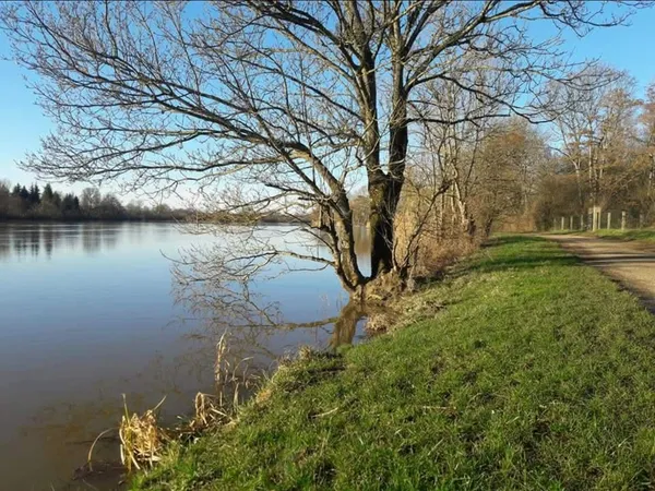 A la découverte des paysages du bord de Saône