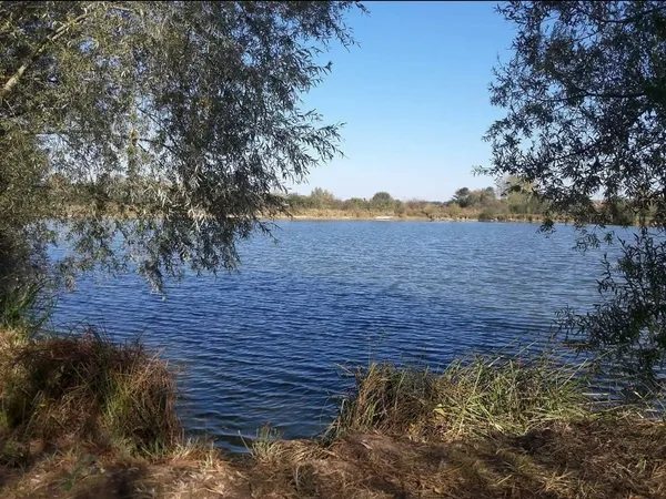 Visite de le gravière des Prés Bourrés à Vielverge