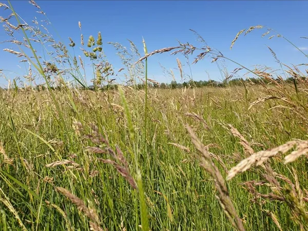 Agriculture et environnement, visite d'une parcelle agricole respectueuse de l'environnement