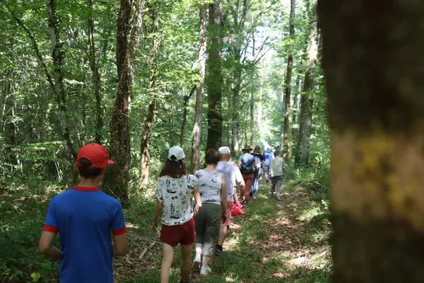 "Sherlock'Orme" au Parc national de forêts