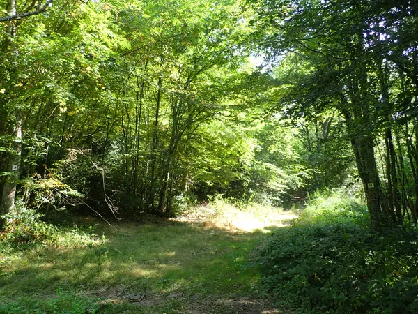 Balade nature & biodiversité