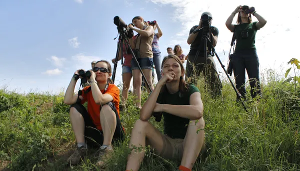 Les oiseaux forestiers et NaturaList