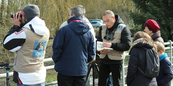 Reconnaître les oiseaux par leur chant à Saligny