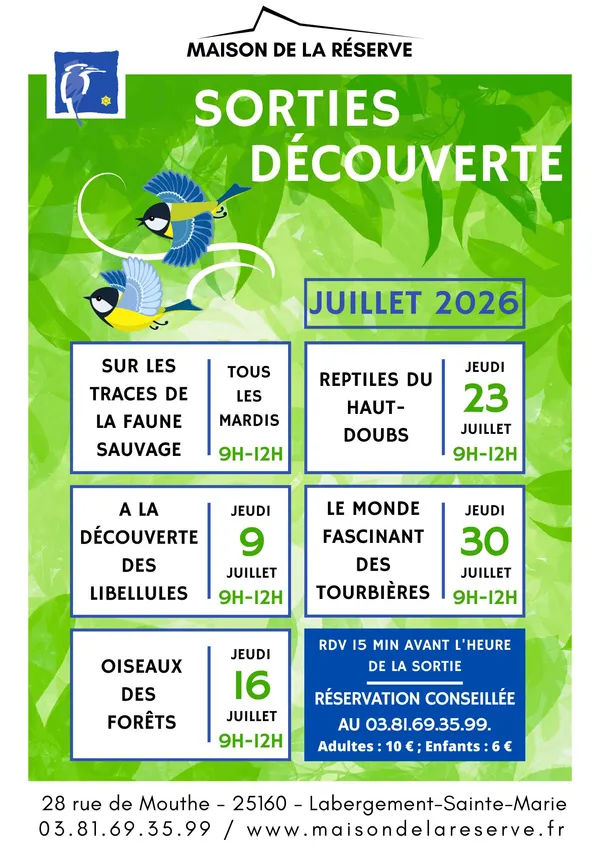 Média additionnel 1