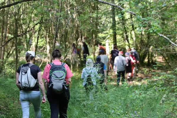 Super Rando au Parc national de forêts