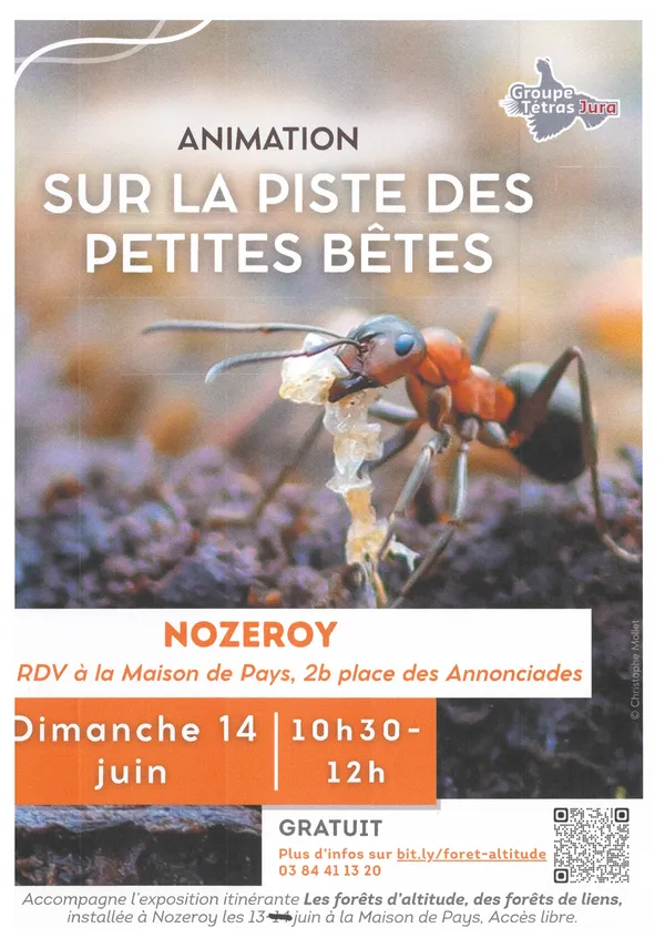 Animation sur la piste des petites bêtes
