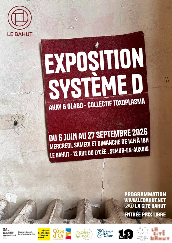 Système D - une exposition de Akay & Olabo (Toxoplasma)