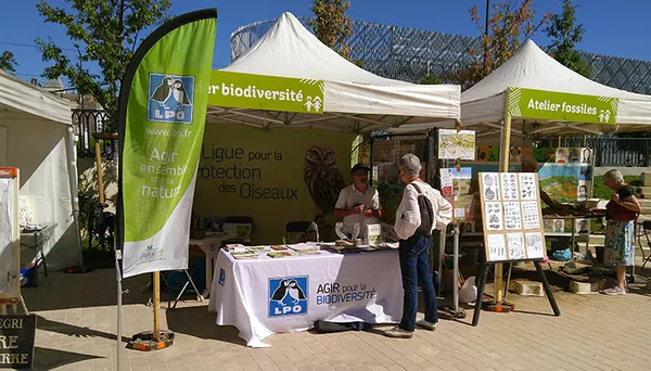 Exposition de photos animalières à Girolles