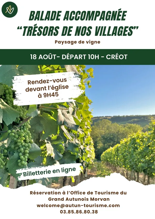 Trésors de nos villages - Paysage de vigne