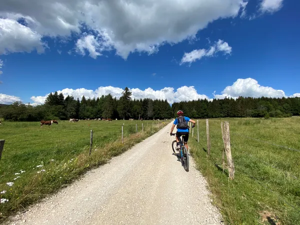 Balade VTT accompagnée