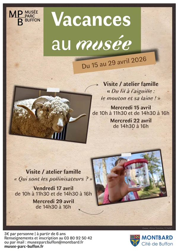 Visite - atelier : Du fil à l’aiguille, le mouton et sa laine !