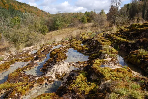 Secrets du Châtillonnais au marais du Cônois