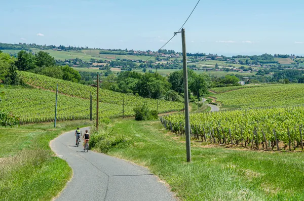 La Vélo Gourmande en Sud-Bourgogne