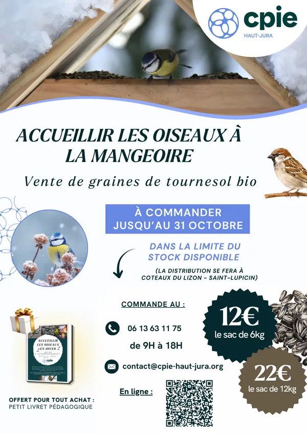 Vente de sacs de graines de tournesol bio pour les oiseaux !