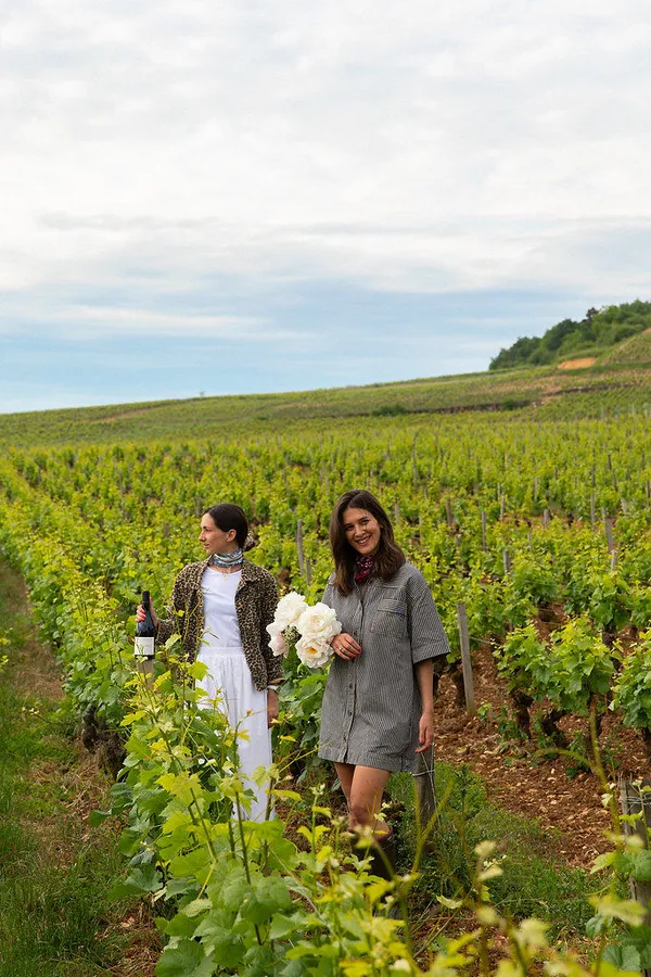 Atelier au cœur de la vigne à Bellevigne