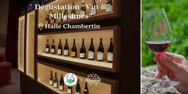 Dégustation "Vin & Millésime"