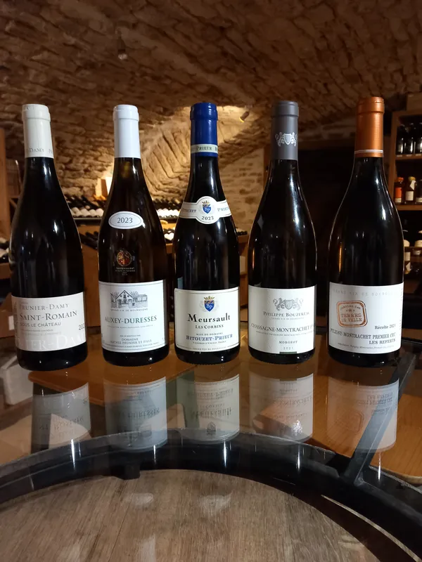 Test sensoriel autour des grands blancs...
