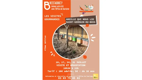 Visites Gourmandes : Abeille qui nous lie