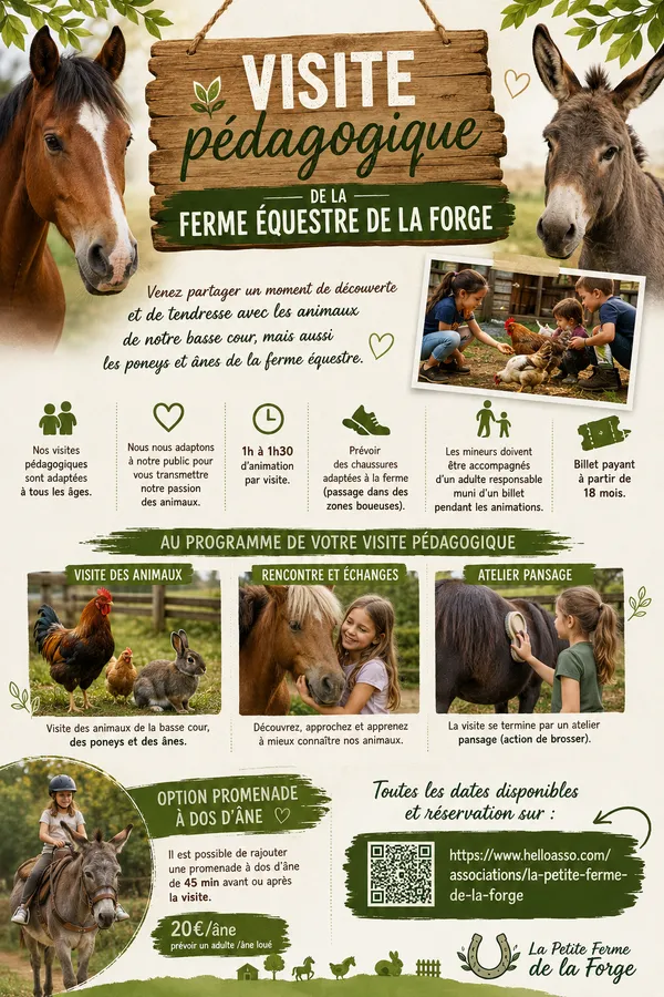 Visites pédagogiques été 2026