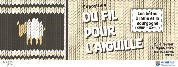 Exposition "Du fil pour l'aiguille, les bêtes à laine et la Bourgogne (XVIIIe - XXe siècle)"