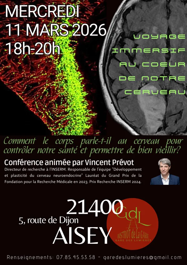 Voyage immersif dans notre cerveau
