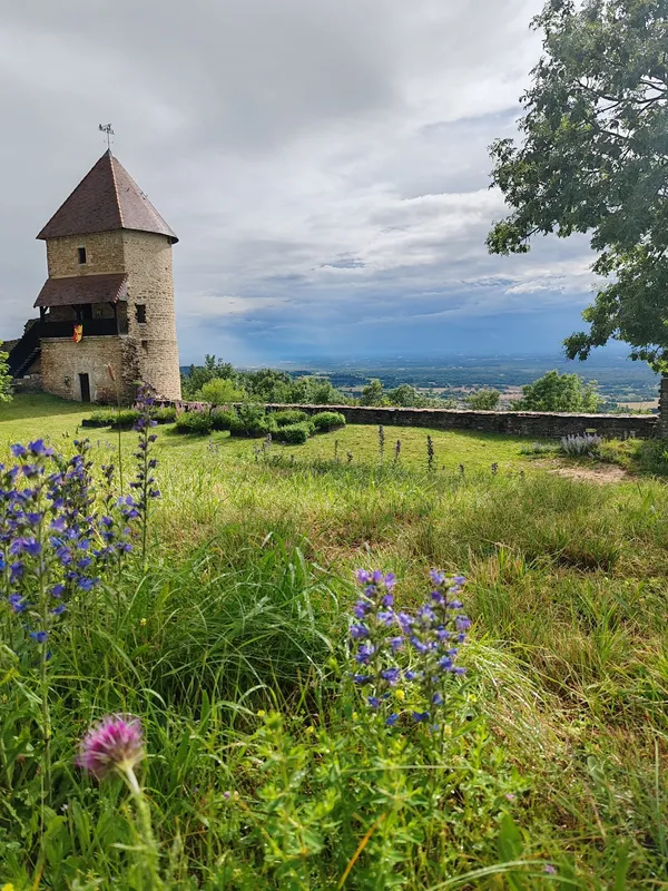 Visites guidées - portes ouvertes au Château de Chevreaux