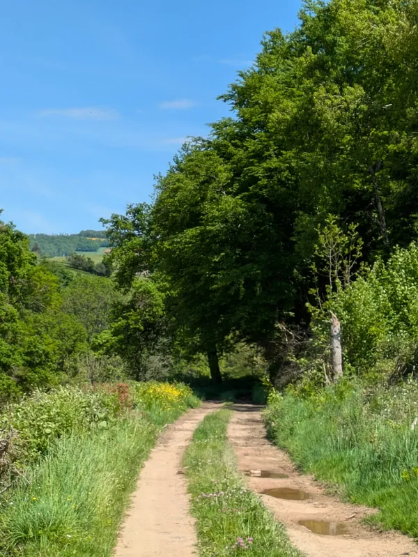 ANNULÉ - La Germolline