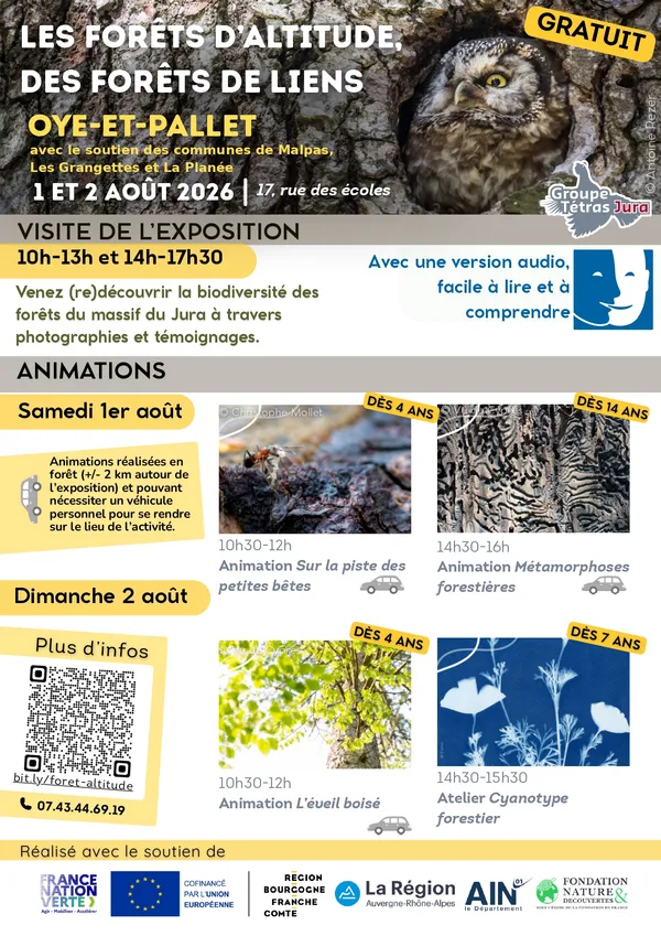 Média additionnel 1