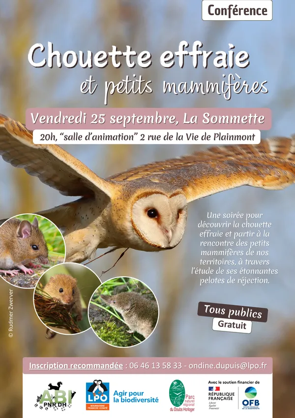 Soirée "Chouette effraie et petits mammifères"