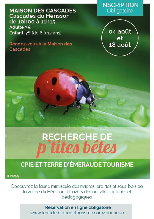Recherche de p'tites bêtes aux Cascades du Hérisson