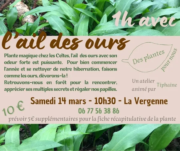 1 heure avec l'ail des ours