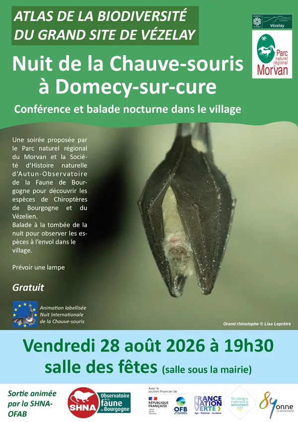 Nuit de la Chauve-Souris, à la découverte des Chauves-souris du Vézelien