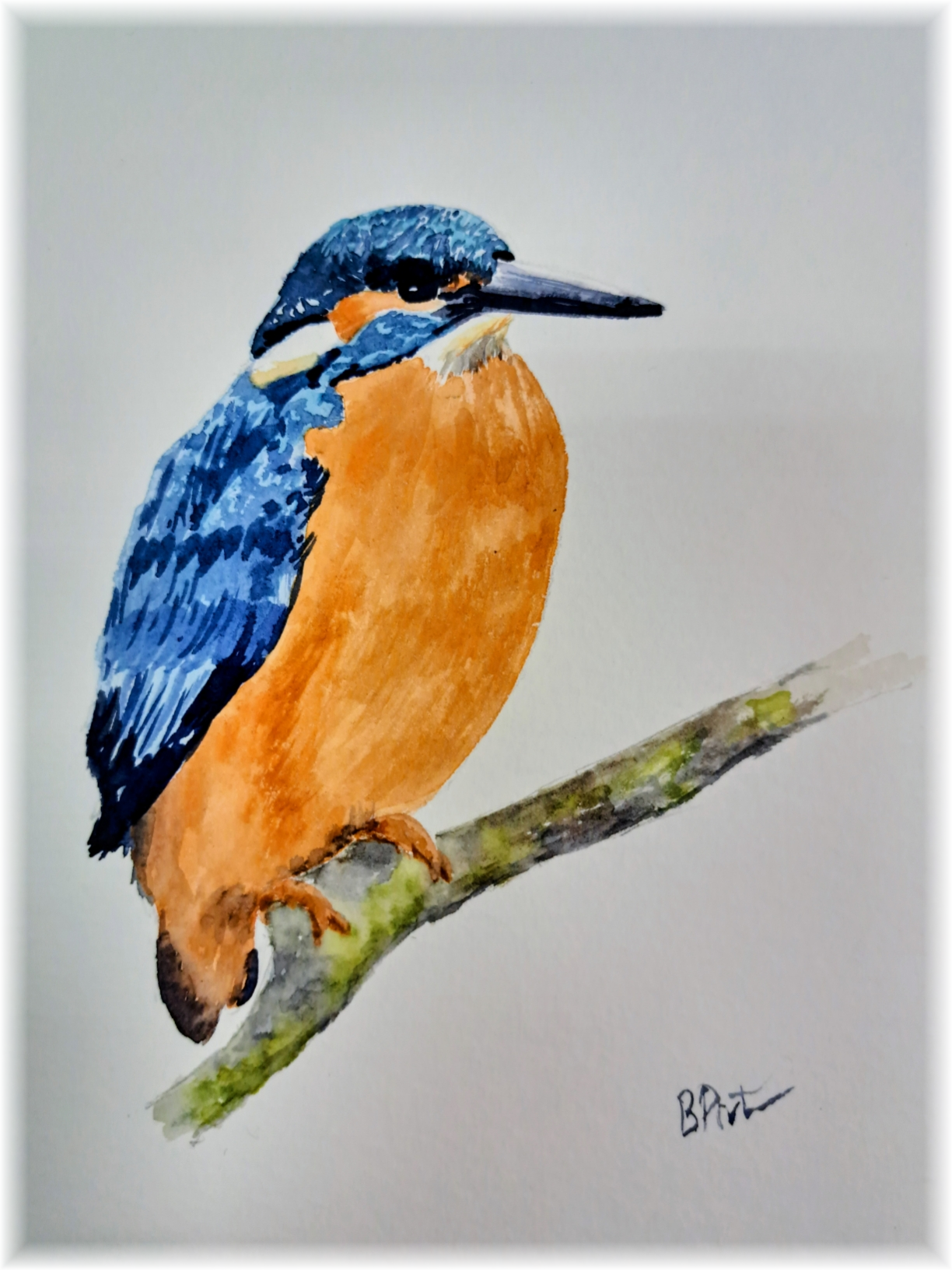 exposition Histoires naturelles