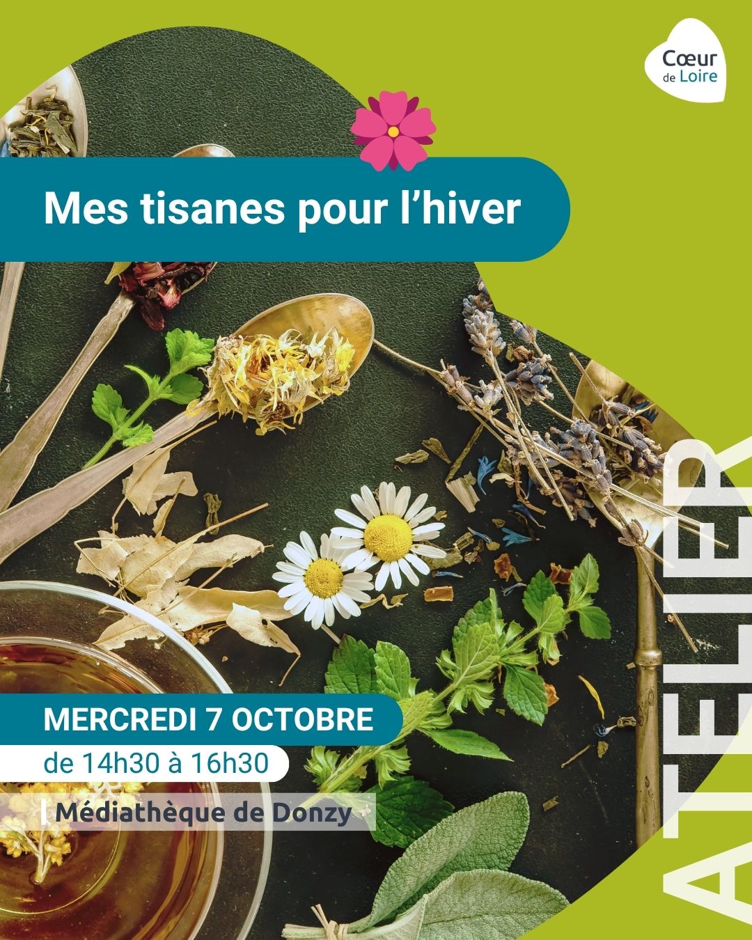 Mes tisanes pour l'hiver