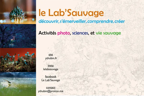 Média additionnel 1