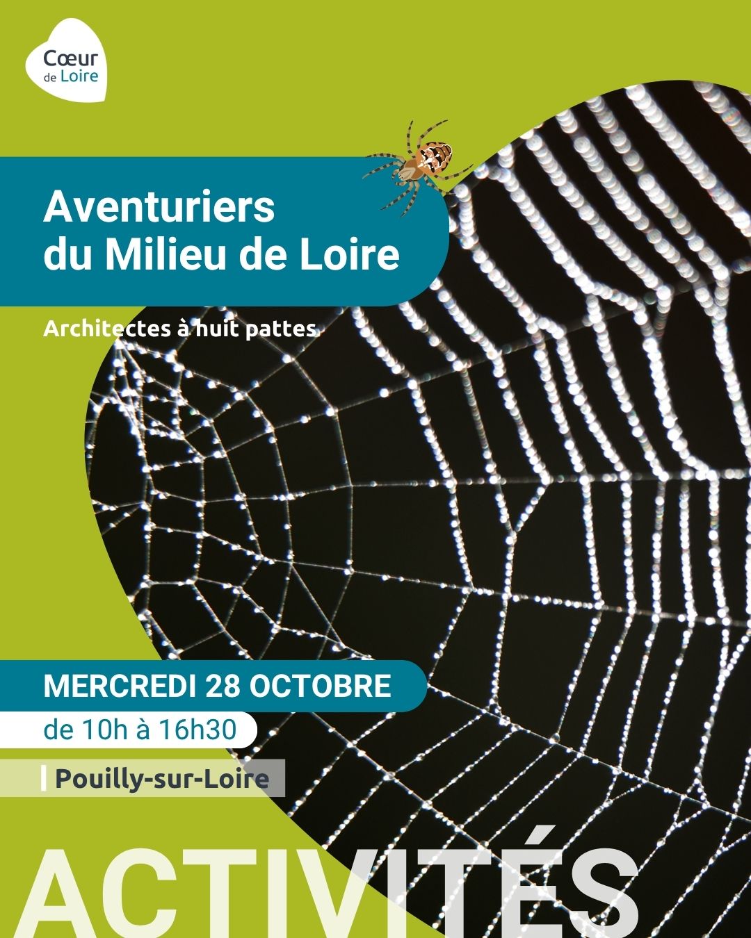 Les Aventuriers du Milieu de Loire, journée nature pour les 6-12 ans, spéciale "Architectes à 8 pattes"