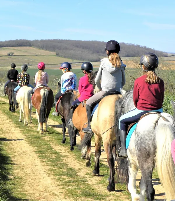 Colonies de vacances en équitation