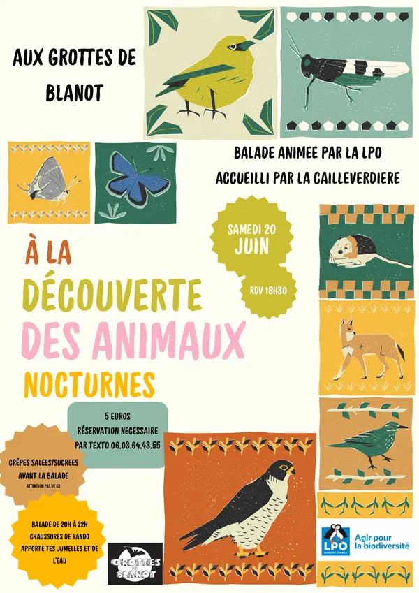 Balade à la découverte des animaux nocturnes