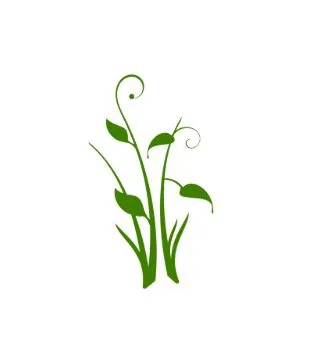 Balade à la découverte des plantes comestibles