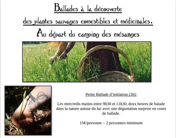Balade à la découverte des plantes sauvages comestibles et médicinales