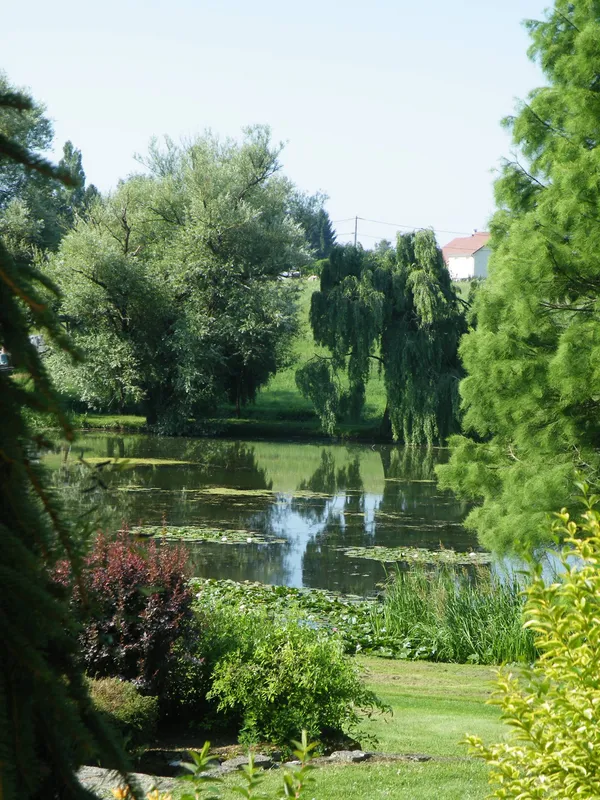 Rendez-vous aux jardins - Parc de l'Étang
